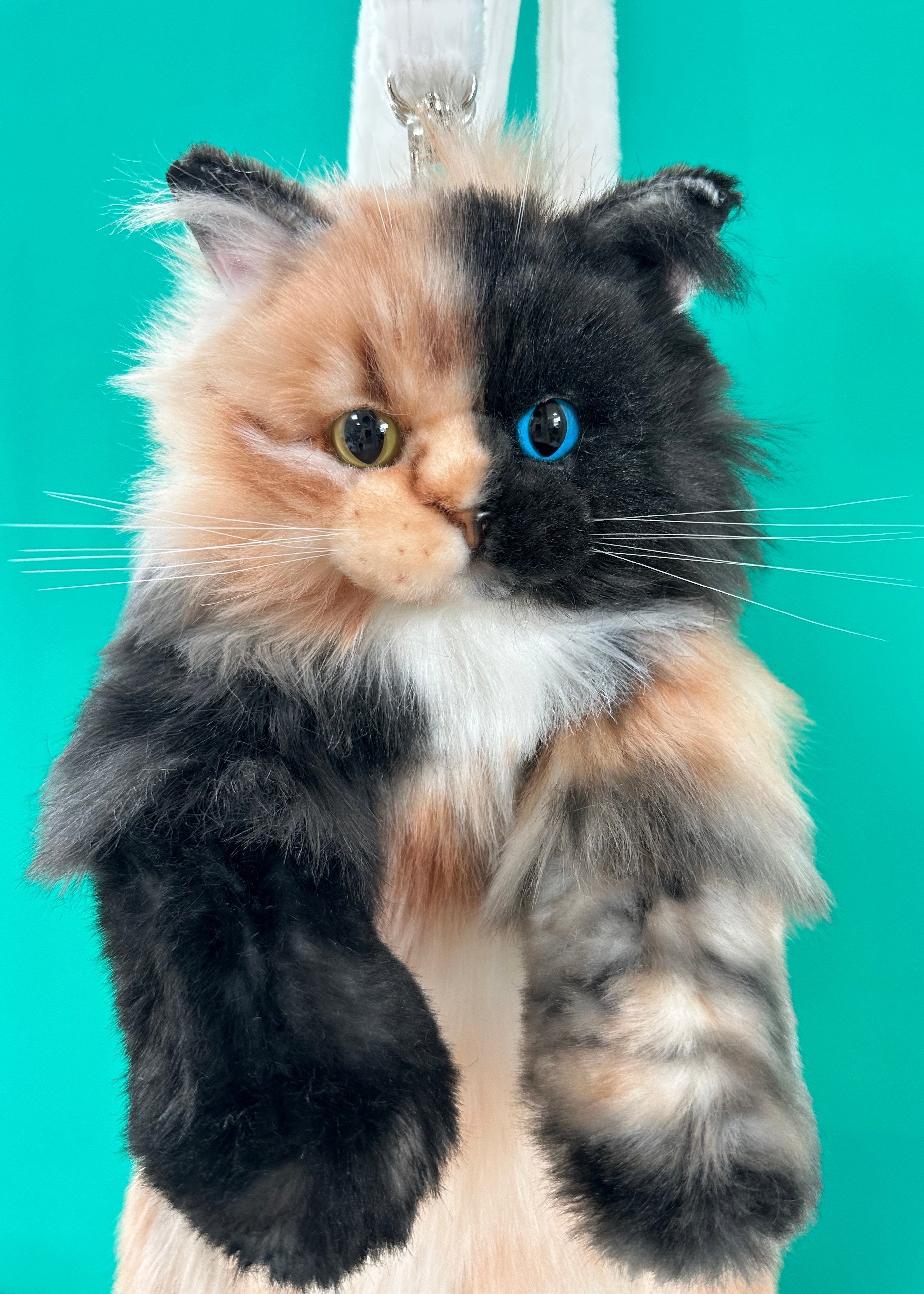 Custom Cat Plush Backpack from Photo – Personalized Pet Keepsake