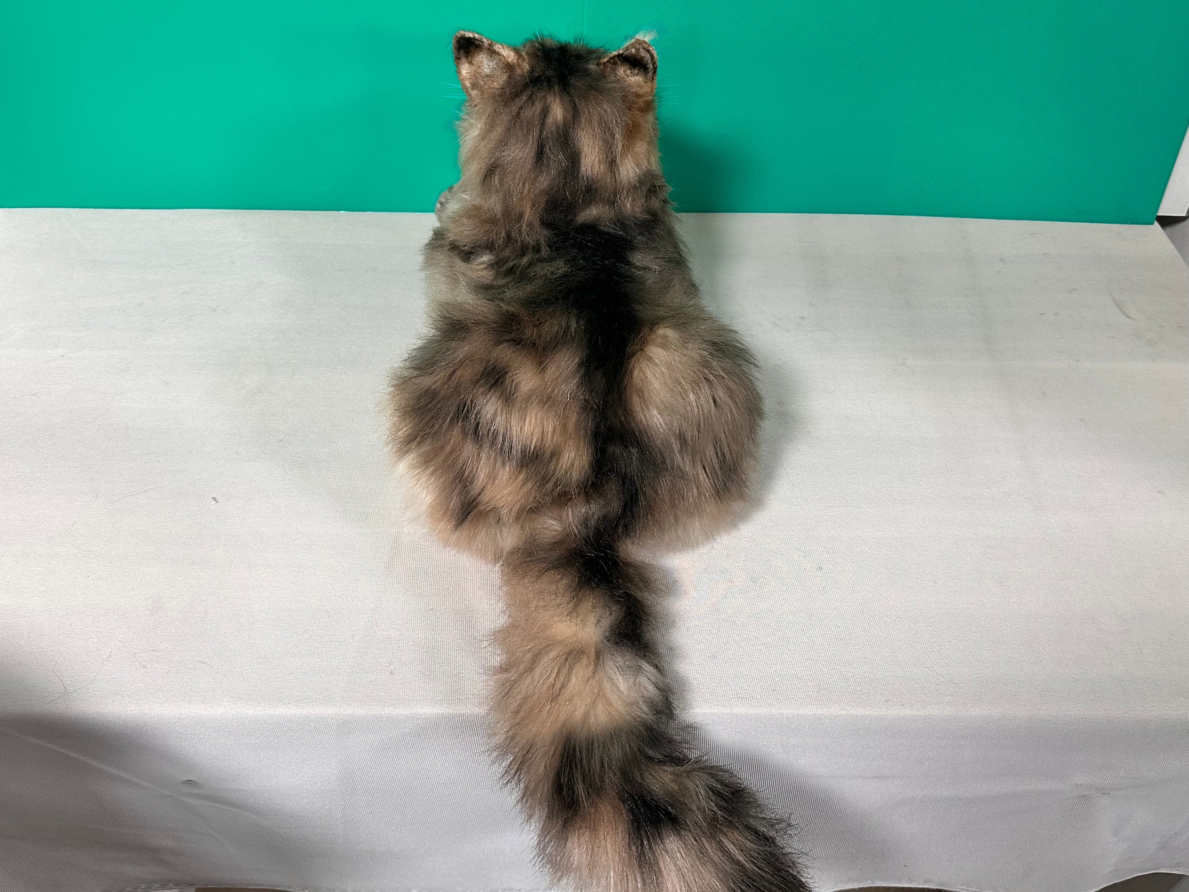 Plush Norwegian Forest Cat-Handmade Life-Size Companion & Pet Memorial