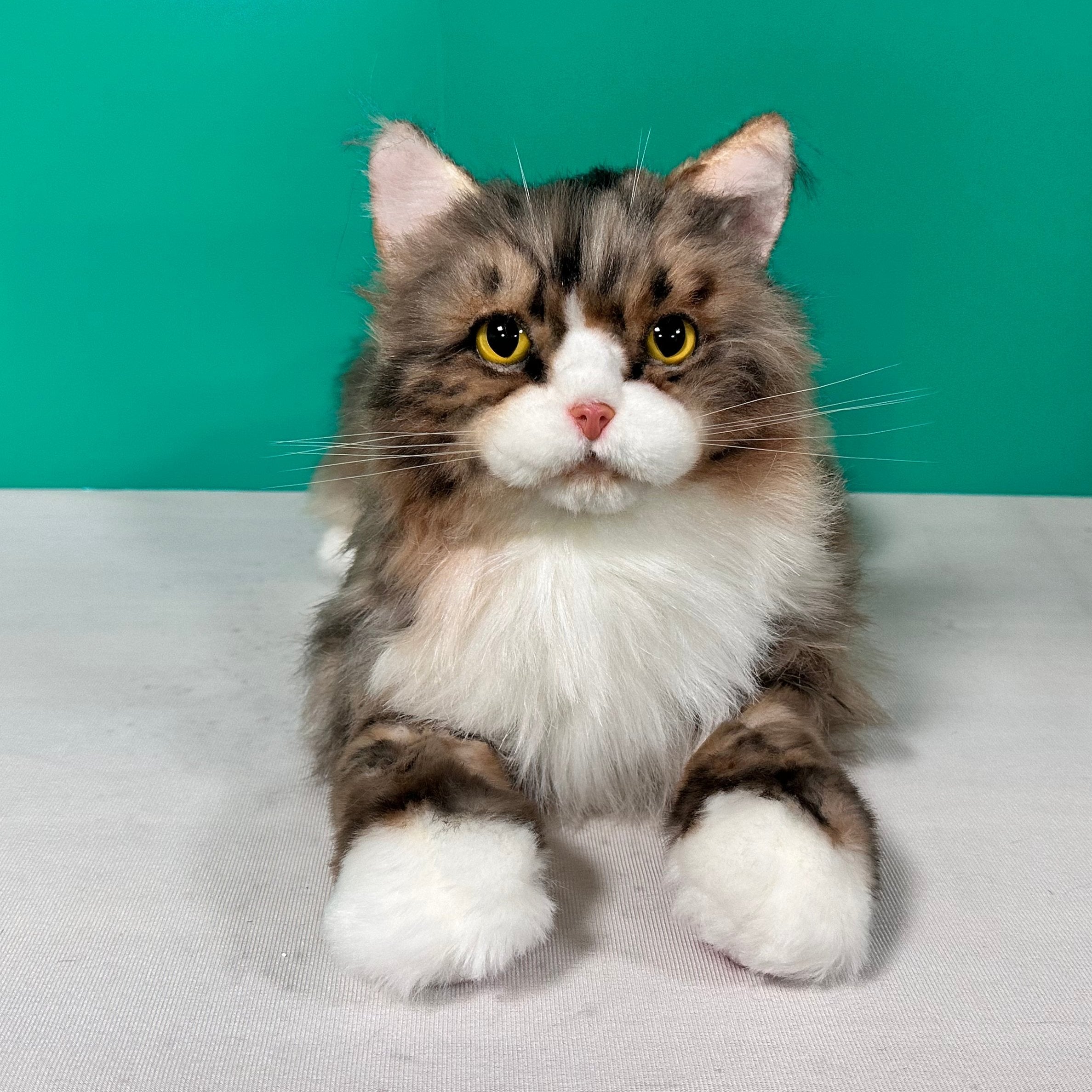 Plush Norwegian Forest Cat-Handmade Life-Size Companion & Pet Memorial