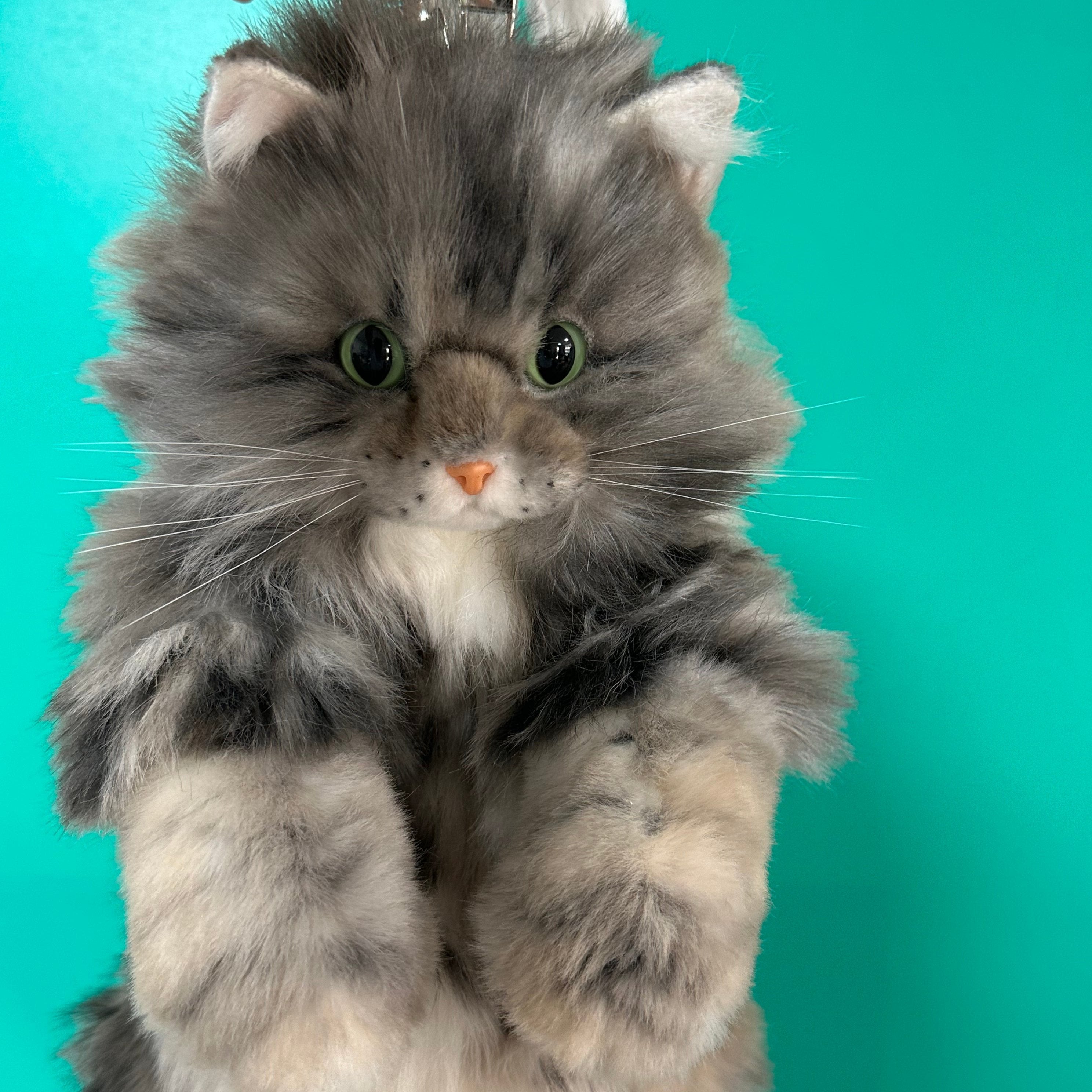 Custom Cat Plush Backpack from Photo – Personalized Pet Keepsake