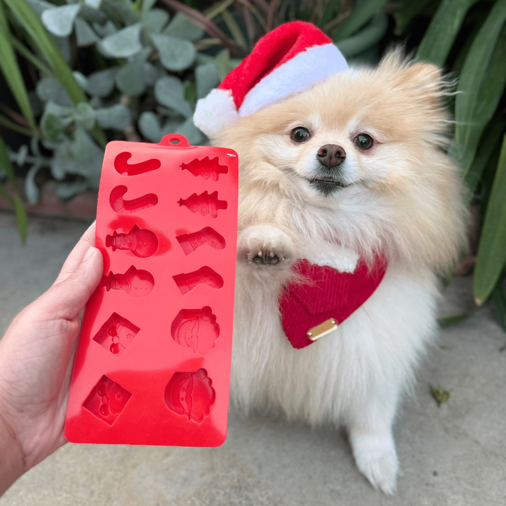 Pet Treat Molds