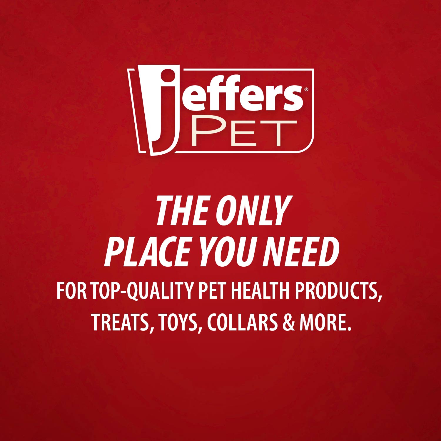 Jeffers Pet Apple Oatmeal All-Natural Hypoallergenic Dry Skin Shampoo for Dogs and Cats