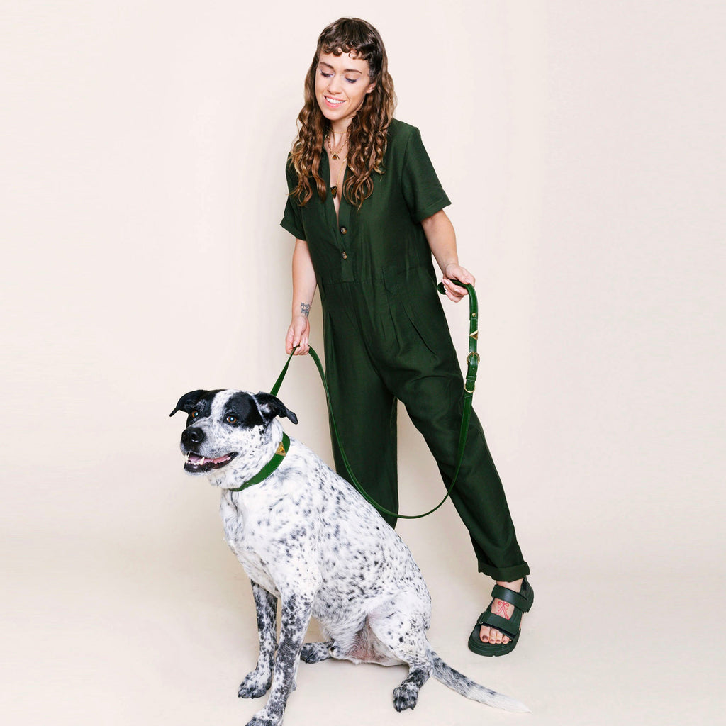 Olive Tiger Match Your Pet Gift Box Set