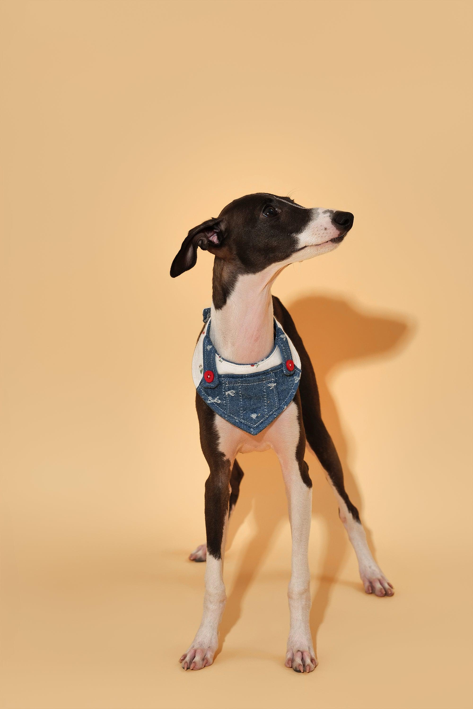Reversible Denim Cherry Overalls Pet Bandana