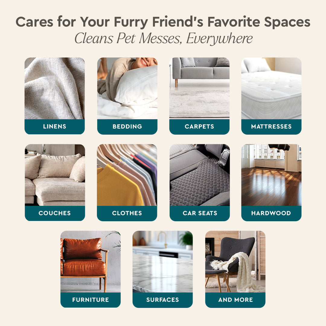 Pet Stain & Odor Remover