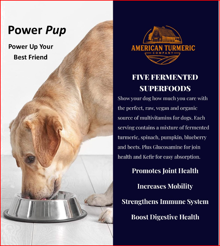 Power Pup Fermented Superfood Turmeric Powder for Pets