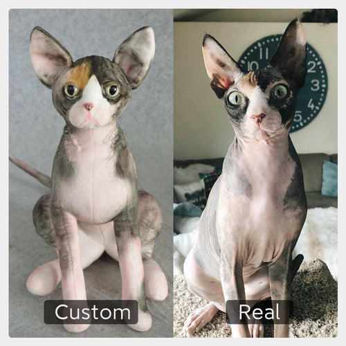 Custom Pet Plush from Photo – Memorial Keepsake for Dogs & Cats