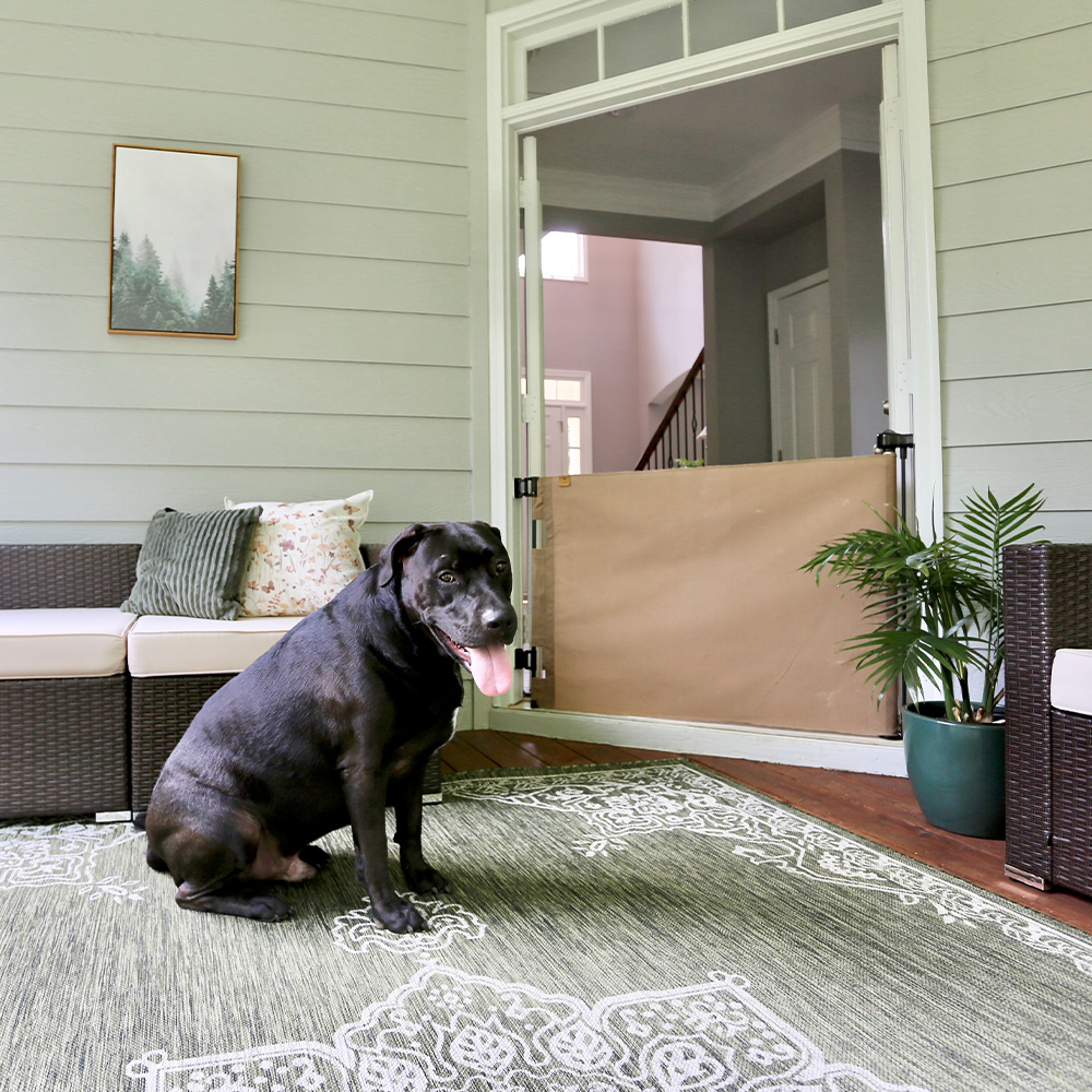 Oil Waxed Canvas Pet Safety Gate – Durable, Waterproof, Vintage-Inspired | fit openings from 27.6" to 55" wide and stand 33"